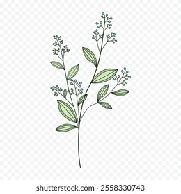 Hand drawn spring flowers illustration. floral illustration