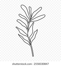 Hand drawn spring flowers illustration. floral illustration