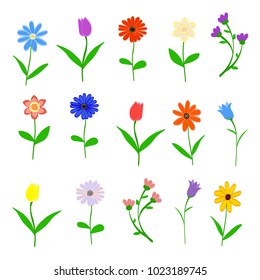 Hand drawn Spring flowers set isolated on white background vector illustration