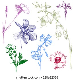 hand drawn spring flowers set