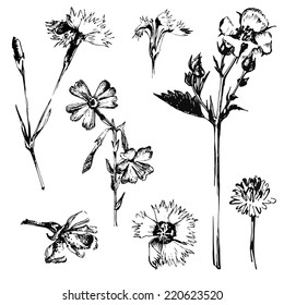 flor de primavera dibujada a mano