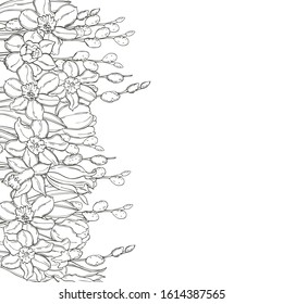 Hand drawn spring flowers. Vector background. Sketch  illustration.