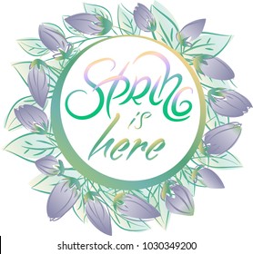 hand drawn spring is here sign with tulip wreath, typography lettering poster, tender decor, vector.