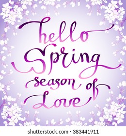 Hand drawn spring inspirational quote - hello spring season of love. Pen and ink calligraphy. Brush painted purple letters on violet background and blossom cherry branches frame, vector illustration.