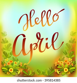 Hand drawn spring inspirational quote - hello April. Pen and ink calligraphy. Brush painted red letters on yellow green primroses background. Spring botanical greeting card. Vector illustration.