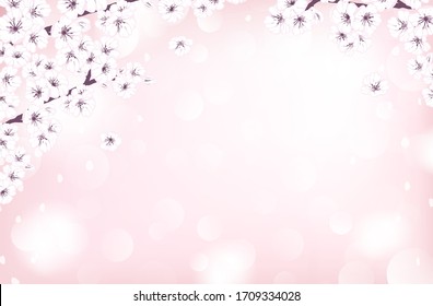 Hand drawn spring sakura, flowers, blooming tree branches, petals, floral elements and bokeh with copy space. Decorative sketch illustration banner on light pink background for design card, invitation