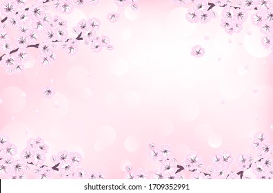 Hand drawn spring sakura, flowers, blooming tree branches, petals, floral elements and bokeh with copy space. Decorative sketch illustration banner on light pink background for design card, invitation