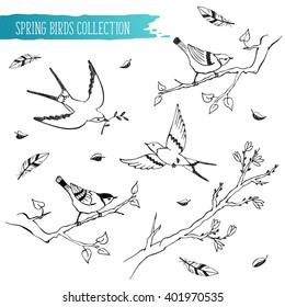 Hand drawn spring time objects set. Collection of birds and branches isolated on white background. Black outlines for coloring books.
