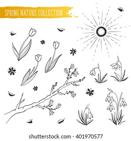 Hand drawn spring time objects set. Collection of spring flowers and branches isolated on white background. Black outlines for coloring books.