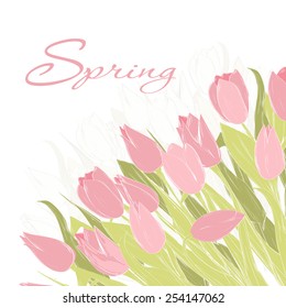 Hand drawn spring tulip flowers. Spring greeting card, Invitation, Template for your design. Vector illustration