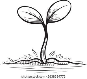 Hand Drawn Sprout Illustration Symbol of Growth New Beginnings and Spring