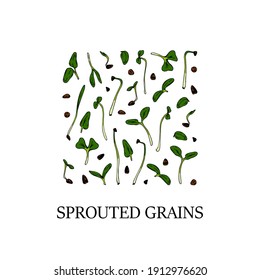 Hand drawn sprouted grains square design. Healthy vegetarian and vegan food design for company logo, print, packages. Vector illustration