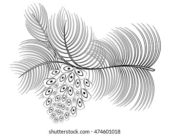 Hand drawn Spruce branch with cone. Vector illustration in zentangle style. Sketch for adult anti stress coloring pages, tattoo, t-shirt design