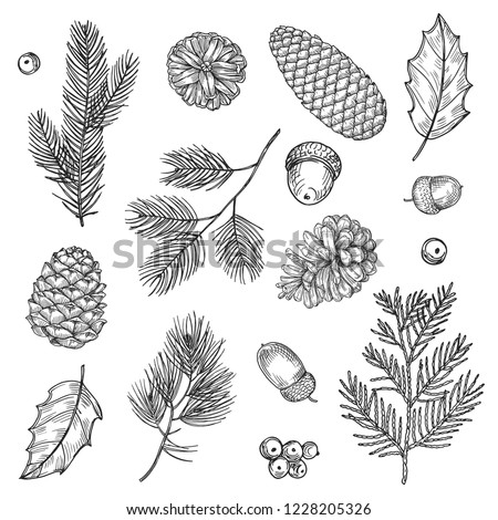 Similar – Image, Stock Photo branches of needles on a green background