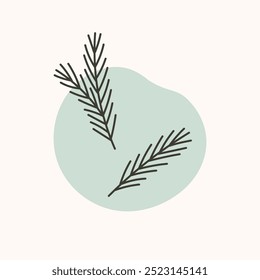 Hand drawn spruce branches.
Doodle vector illustration for winter greeting cards, posters, stickers and seasonal design.