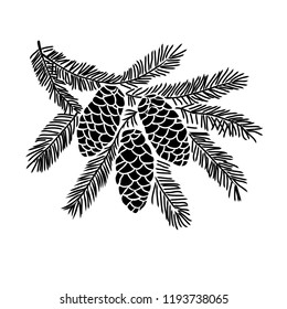 Hand drawn spruce tree branch isolated on white background. Ink illustration in vintage engraved style