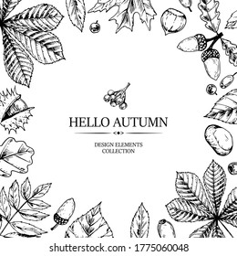 Hand drawn square autumn banner with falling leaves, acorn and berries. Vector illustration in sketch style isolated on white. Realistic botanical frame. Space for text