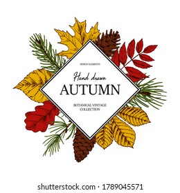 Hand drawn square autumn botanical frame with leaves, cone, fir tree branch. Vector illustration in colored sketch style isolated on white. Realistic forest design elements Space for text