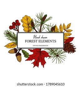 Hand drawn square autumn botanical frame with leaves, cone, fir tree branch and berries. Vector illustration in colored sketch style isolated on white. Realistic forest design elements Space for text