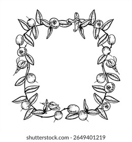 Hand drawn square frame with cranberry branches, berries and flowers in black and white vector illustration. Swamp wild berries monochrome border with empty space. For invitations, packaging, labels.