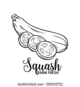 Hand drawn squash icon. Vector badge vegetable in the old ink style for brochures, banner, restaurant menu and market