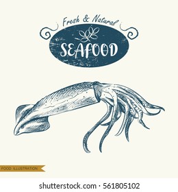 Hand drawn squid isolated on white background. Seafood elements sketch. Oysters vector illustrator. Retro style