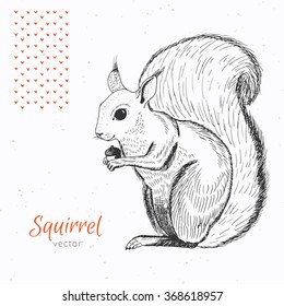 Hand Drawn Squirrel