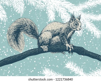 Hand drawn squirrel on a branch on a winter background with fir branches and falling snow.