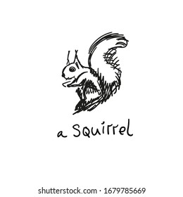 Hand drawn squirrel. Retro realistic animal isolated. Vintage style. Doodle line graphic design. Black and white drawing mammal. Vector sketch. Christmas animal.