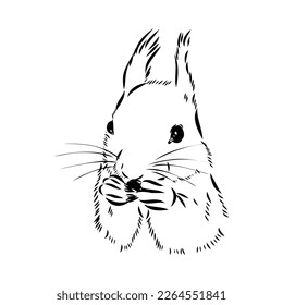 Handgezeichnetes Eichhörnchen. Retro realistisches Tier einzeln. Vintage-Stil. Doodle Line Grafikdesign. Schwarz-Weiß-Zeichensäule. Vektorgrafik. Weihnachtstier.