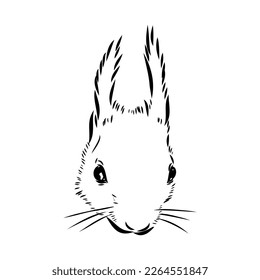Hand drawn squirrel. Retro realistic animal isolated. Vintage style. Doodle line graphic design. Black and white drawing mammal. Vector sketch. Christmas animal.