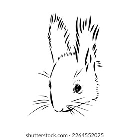 Hand drawn squirrel. Retro realistic animal isolated. Vintage style. Doodle line graphic design. Black and white drawing mammal. Vector sketch. Christmas animal.