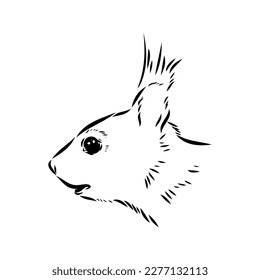 Hand drawn squirrel. Retro realistic animal isolated. Vintage style. Doodle line graphic design. Black and white drawing mammal. Vector sketch. Christmas animal.