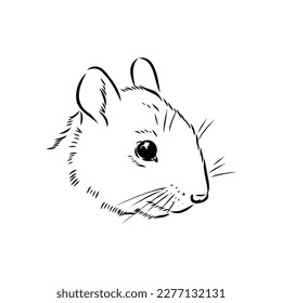 Hand drawn squirrel. Retro realistic animal isolated. Vintage style. Doodle line graphic design. Black and white drawing mammal. Vector sketch. Christmas animal.