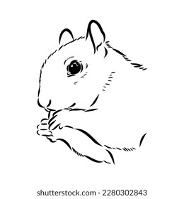 Hand drawn squirrel. Retro realistic animal isolated. Vintage style. Doodle line graphic design. Black and white drawing mammal. Vector sketch. Christmas animal.