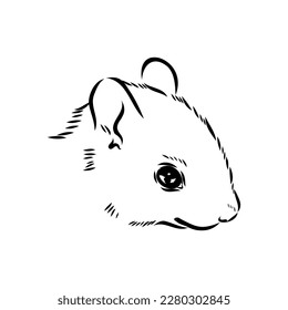 Ardilla dibujada a mano. Animales retro realistas aislados. Estilo vintage. Diseño gráfico de la línea de dibujo de Doodle. Mamífero dibujado en blanco y negro. Esbozo vectorial. animal de Navidad.