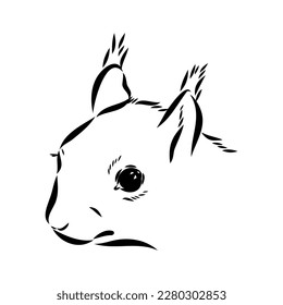Ardilla dibujada a mano. Animales retro realistas aislados. Estilo vintage. Diseño gráfico de la línea de dibujo de Doodle. Mamífero dibujado en blanco y negro. Esbozo vectorial. animal de Navidad.