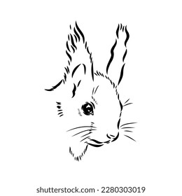 Handgezeichnetes Eichhörnchen. Retro realistisches Tier einzeln. Vintage-Stil. Doodle Line Grafikdesign. Schwarz-Weiß-Zeichensäule. Vektorgrafik. Weihnachtstier.