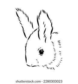 Hand drawn squirrel. Retro realistic animal isolated. Vintage style. Doodle line graphic design. Black and white drawing mammal. Vector sketch. Christmas animal.