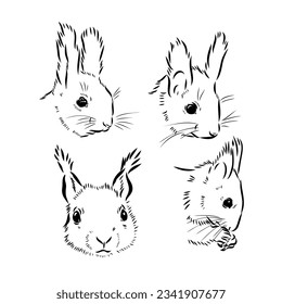 Hand drawn squirrel. Retro realistic animal isolated. Vintage style. Doodle line graphic design. Black and white drawing mammal. Vector sketch. Christmas animal.