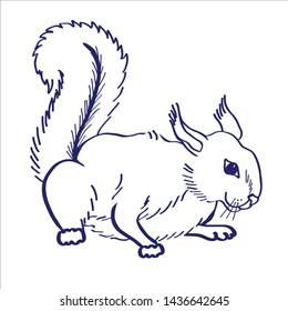 Hand drawn squirrel. Vector sketch. Squirrel.