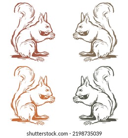 Hand Drawn Squirrel Wild Animal Vector Illustration
