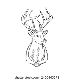 Hand drawn stag illustration with deer head turned to the right hand side and big antlers. Line drawn and digitally converted into a vector. 