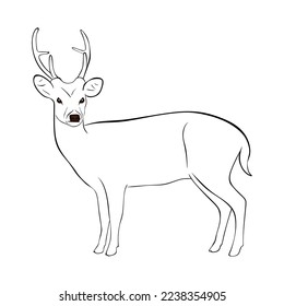 Ilustración vectorial de silueta trenzada a mano, aislada sobre fondo blanco. Venado con un estilo mínimo. Deer en dibujo en blanco y negro