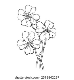 Hand drawn stalks of clover. St. Patrick's Day symbol of luck. Shamrock Irish folklore 