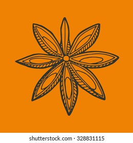 Hand Drawn Star Anise Flower. Best For Cards, Menu, Web,  Invitations And Other