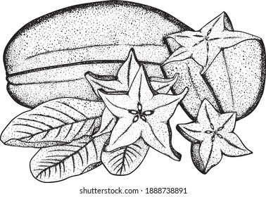 Hand drawn star fruit. A slice of carambola. Exotic tropical fruit. Vector Hand Drawn. Sketch, vintage Botanical Illustration. Eco healthy food. Superfood.