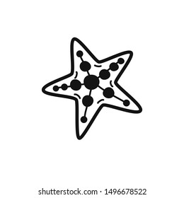 Hand drawn Star Shell isolated on a white. Vector illustration.