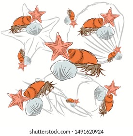 Hand drawn starfish, clam shell and hermit crab pattern with white background template