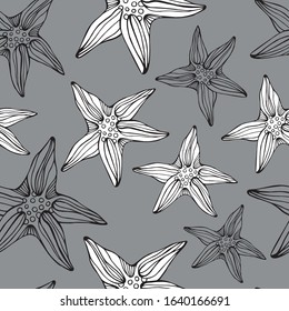 Hand drawn starfish coloring vector pattern for children and adults.
Seamless background for wallpapers, postcards and posters. Black and white. Underwater world.